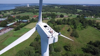 Insólito lugar para tomar el sol!