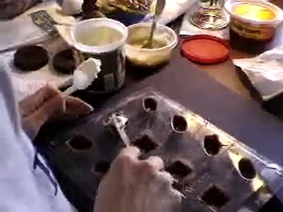 How to Make Chocolates