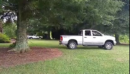 Déraciner un arbre avec un pickup dodge