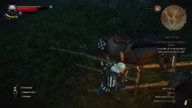 The Witcher 3: Wild Hunt - Water, water, everywhere