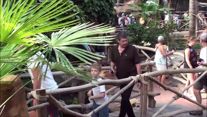 Pairi Daiza Oiseaux 2