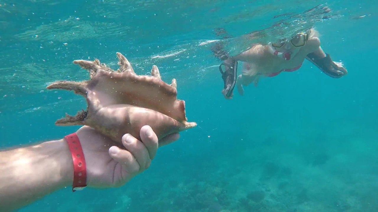 Holiday in Egypt Hurghada  Red Sea underwater, Test GoPro HERO4 Video HD #5day