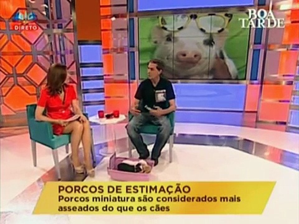 João Arroja com Matilde no Boa Tarde da SIC com Conceição Lino