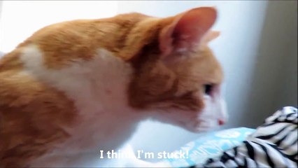 My Summer Morning Routine