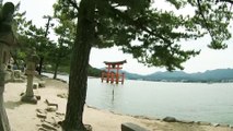 Journey - Japan (Kyoto, Osaka, Miyajima, Kamakura)