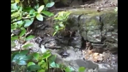 Arqueologia Proibida Reescrevendo a História