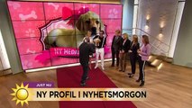 Här är Nyhetsmorgons valp - du får bestämma vad hon ska heta - Nyhetsmorgon (TV4)