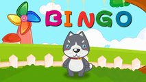 BINGO Dog Song - Bingo Was His Name-O | Nursery Rhyme with Lyrics | Cartoon Animation for Children