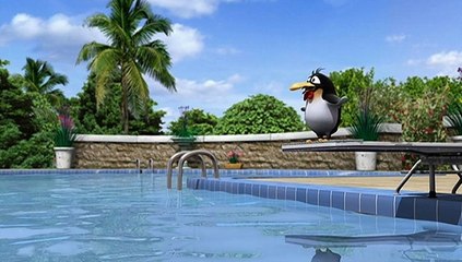bernard bear 07 - Diving Board