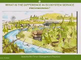 Monetizing forest ecosystem services