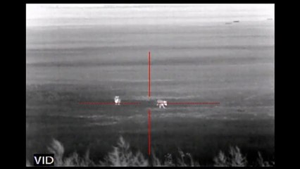 Thermal Coyote Hunting with the ATN ThOR - 13 Coyotes Down
