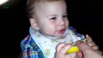 baby hates his new food! Babies Eating Lemons for the First Time! Приколы! Ребенок ненавидит еду!