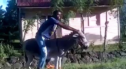 Riding a donkey like a boss!