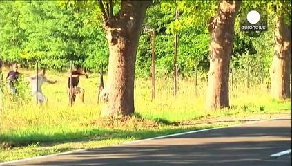 Download Video: پلیس بلغارستان برای مقابله با قاچاق انسان به کمک پلیس مجارستان می آید