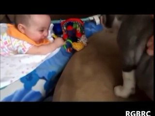 Funny Baby Video Clips Best Vine Compilation Try not to Laugh