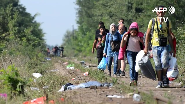New migrants reach Hungary-Serbia border