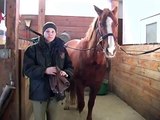 How to Groom a Horse : How to Use a Towel to Groom a Horse