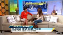 Cloning Animals:  Woman Brings Cloned Dog, Discusses Pros and Cons on GMA'