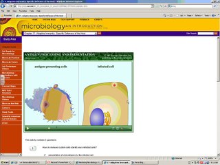 Dr. Parker's Microbiology Chapter 17 - adaptive immunity