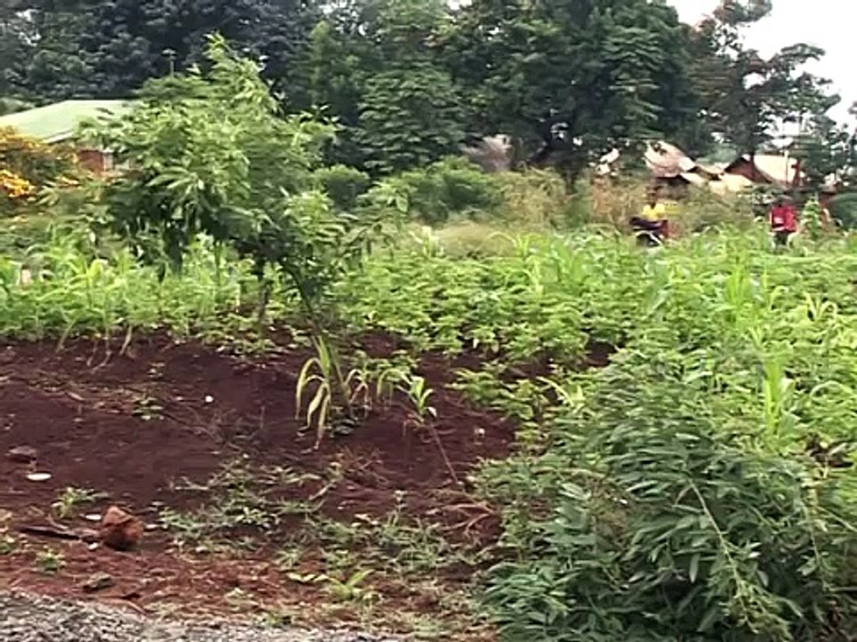 Rocket stove Rocket science