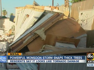 Powerful monsoon snaps trees, take poles down, damage homes