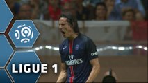 But Edinson CAVANI (73ème) / AS Monaco - Paris Saint-Germain (0-3) - (ASM - PARIS) / 2015-16