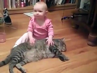 진지하게 가출충동 느끼는 고양이... ㅠㅠ - Cat you want out house ㅠㅠ