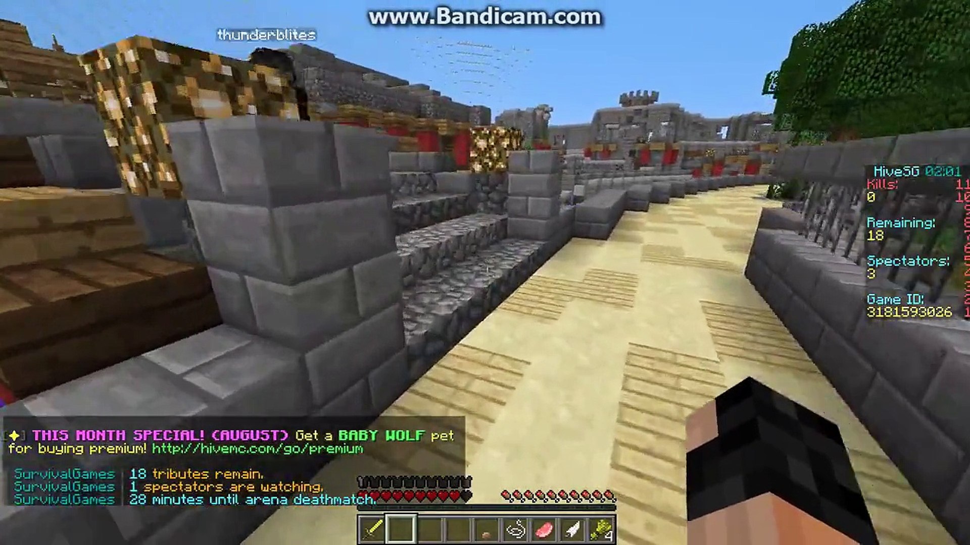 Random Minecraft Survival Games w/ noobs