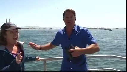 GROUNDBREAKING TV MOMENT! BLUE WHALE Surfaces During BBC's Live Transmission and Anchor Couldn't Believe it