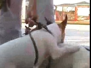 NVECapture