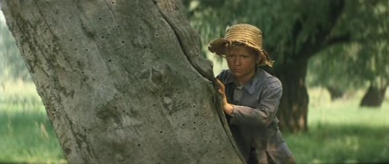 Aventurile lui Huckleberry Finn / Совсем пропащий (1972)