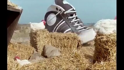 Kıça tekme böyle atılır