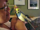 Singing to my parakeets