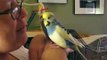 Singing to my parakeets