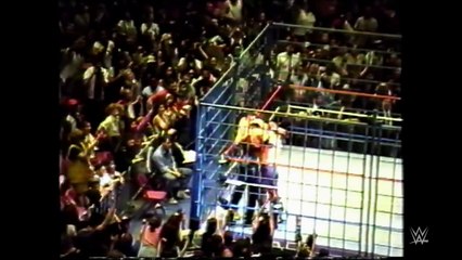 The-Kliq-surprises-the-WWE-fans-who-recorded-the-MSG-Curtain-Call-WWEcom-Exclusive-Aug-28-201