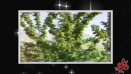 Abdullah Maqorei Very Nice Song