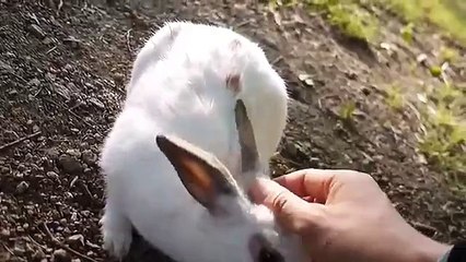 오산출장안마〔OIO↔2156↔4195〕…羅費 성남출장안마 美GOOD 오산출장마사지