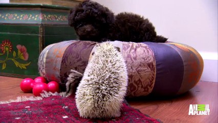 1위“수원출장안마ஐOIO↔2156↔4195ஐ안산출장안마＾.＾성남출장안마Τ머니 수원출장마사지