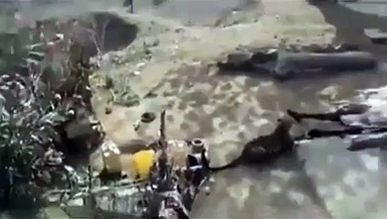 leopar bi anda insana saldırıyor dehset anları