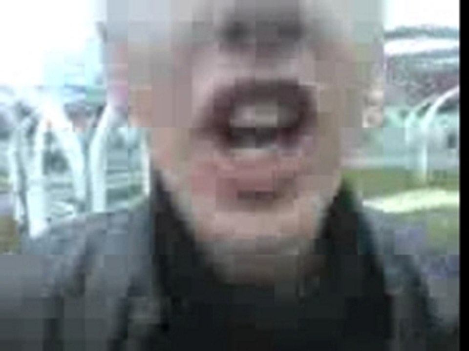 Dingolos