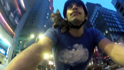 Une chatte hilarante fait la démonstration de son athlétisme en pilotant son propre "vélo".