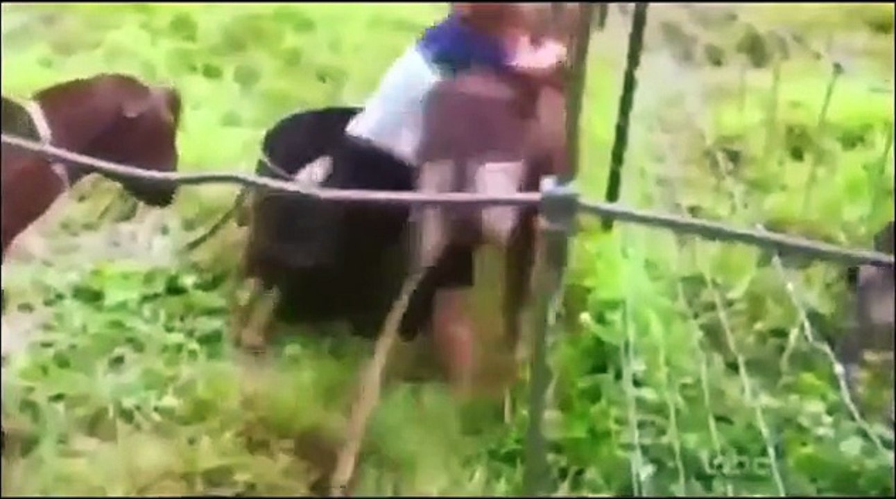 Funny Best Epic Fails News Bloopers Pranks Compilation _ Funny Compilation _ The Best