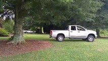 How to uproot massive tree with a truck..? Parody!