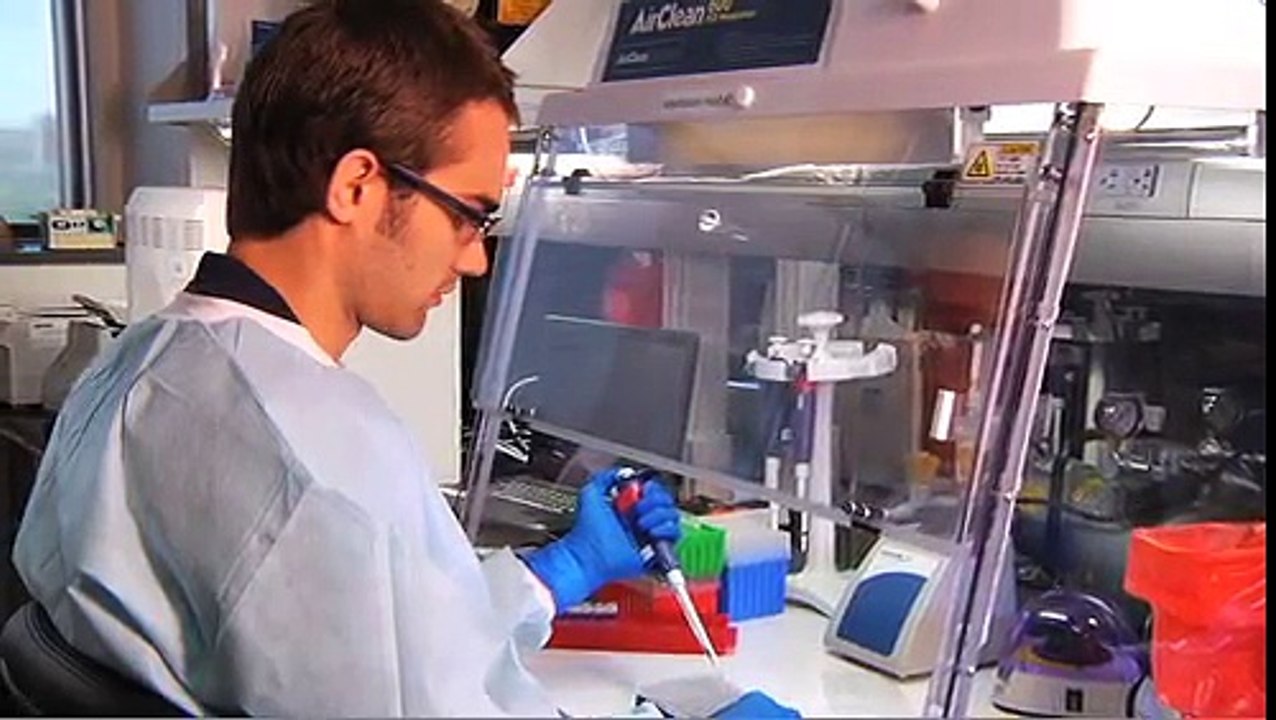 Applied Biosystems 7500 Fast Dx Real Time Pcr System Video Dailymotion