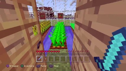 Minecraft: PlayStation®4 Edition Ville RP