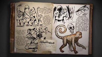 Ark : Survival Evolved (XBOXONE) - Le mésopithèque