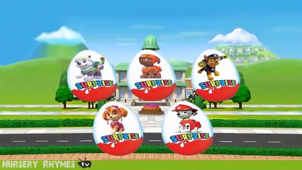 Paw Partol Team Cartoon - Finger Family Song - Nursery Rhyme For Childrens