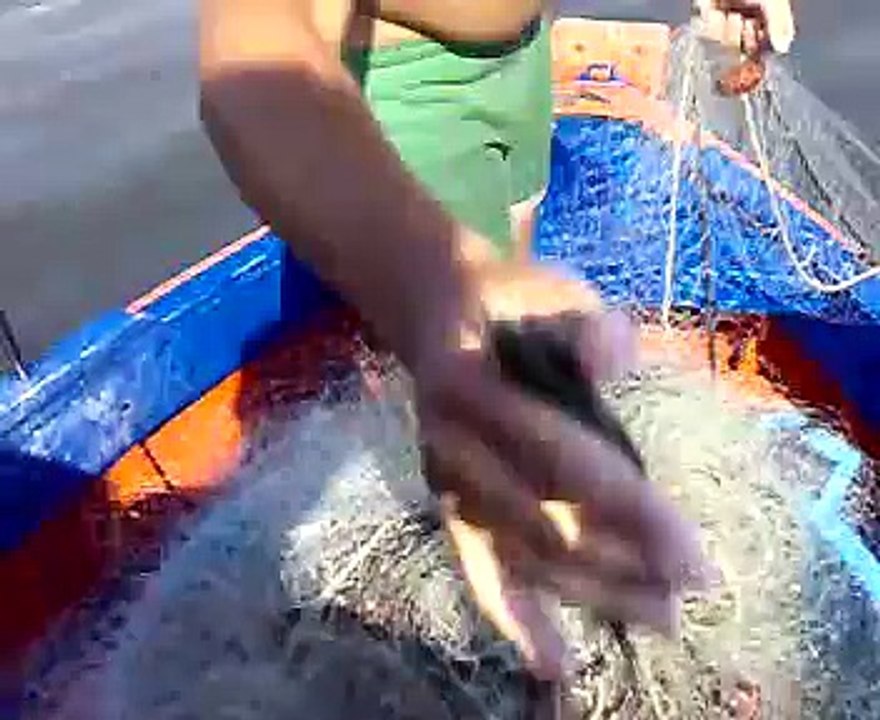 PESCA CON LA RETE