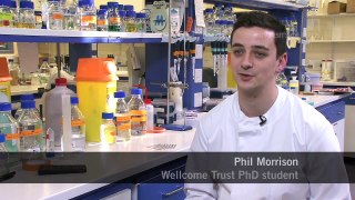 PhD in the molecular basis of biological mechanisms