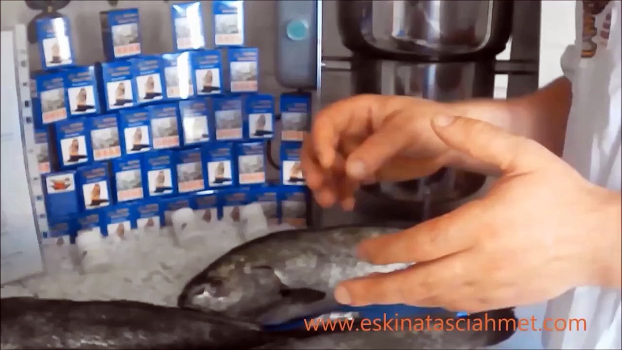 BÖBREK TAŞINA EŞKİNA BALIĞININ BEYNİNDEKİ TAŞ İYİ GELİYOR.